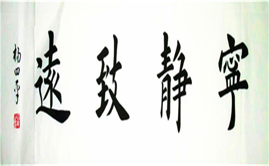 杨四平艺术精品